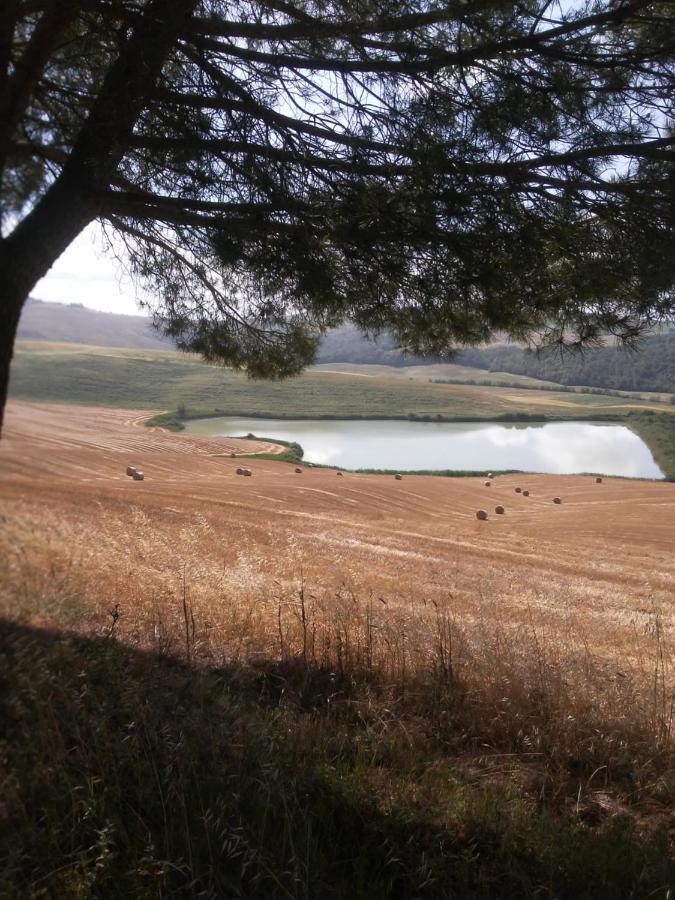 Pensjonat La Serra Murlo Zewnętrze zdjęcie